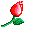 bloomingrose.gif