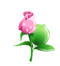pinkrose1.gif